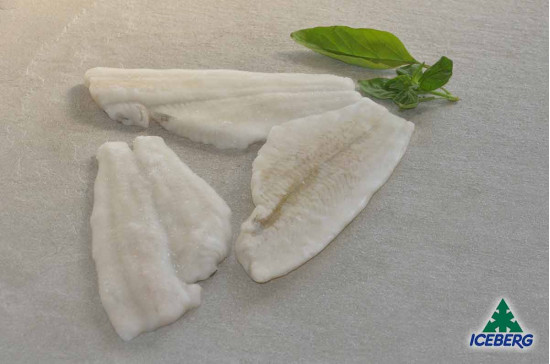 FILETTO PLATESSA N.3 S/P P.P. 1X4KG CG