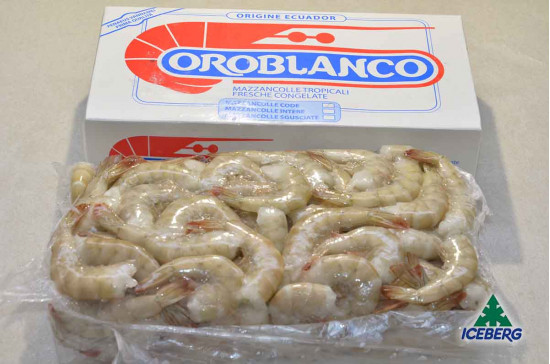 CODE MAZZ.LE TROP.EC. P.P. 26/30 S.6X2KG CG