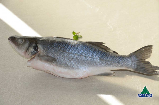 BRANZINI EVISCERATI 250/330 CROAZIA1X10KG CG