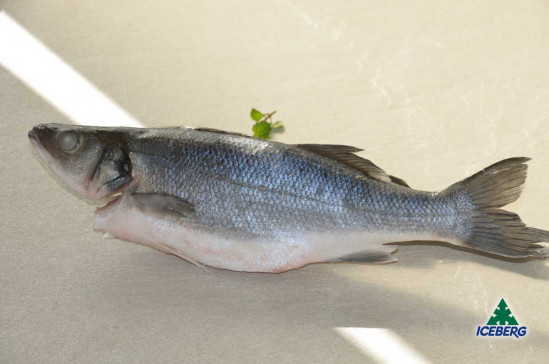 BRANZINI EVISCERATI 250/330 CROAZIA1X10KG CG
