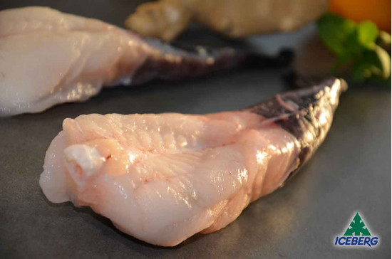 CODE RANA PESC.OCEAN.100/250 BENGU.1X6KG CG