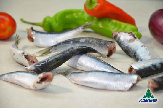 SARDINA SENZA TESTA IQF CROAZIA 1X9,7KG CG
