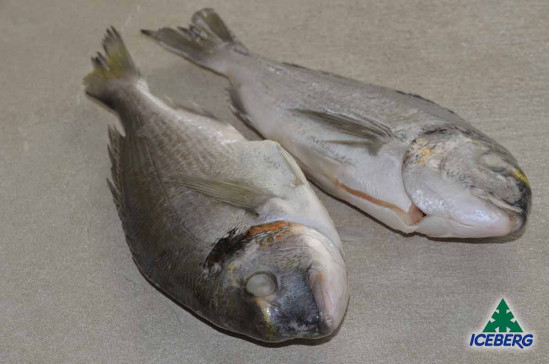 ORATE EVISCERATE 125/160 CROAZIA 1X10KG CG