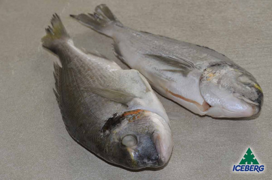 ORATE EVISCERATE 125/160 CROAZIA 1X10KG CG