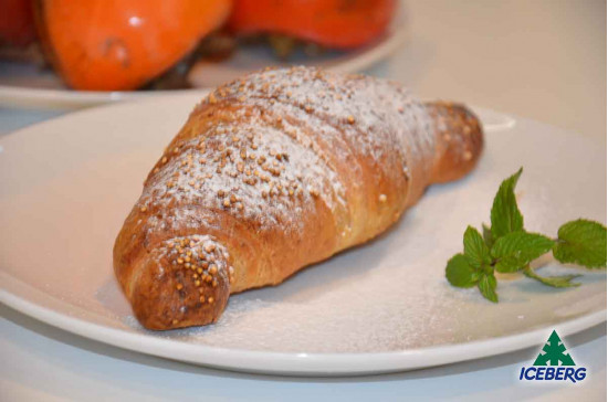 CROISSANT VEGANO ARANCIA QUINOA J. 10X480GRCG