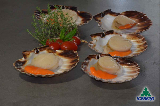 CAPPESANTE ATLANT. M/G 10/11      10X750GR CG