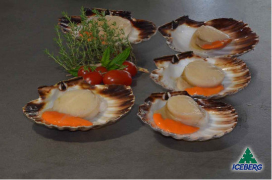 CAPPESANTE ATLANT. M/G 10/11      10X750GR CG