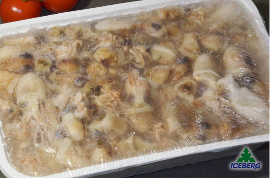 SEPPIOLA (CAPPUCCETTO)             2X1KG  +CG