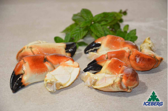 CHELE GRANCIPORRO ATLANTICO 25/30  10X800GRCG