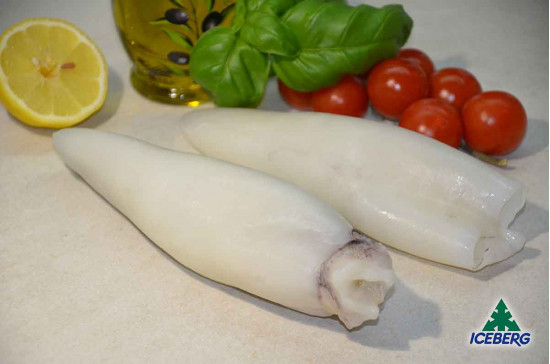 CALAMARO MAROCCO 4P PULITO 6X1KG CG