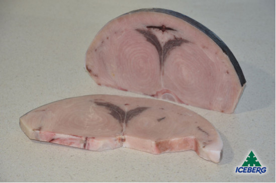 PESCE SPADA TRANCE W.              1X6,4KG CG