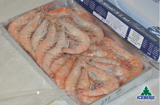 MAZZANCOLLE OCEAN.TUNISIA B. 20/30 12X1KG  CG