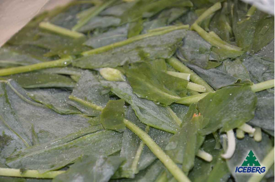 AGLIO ORSINO E.                    4X500GR CG