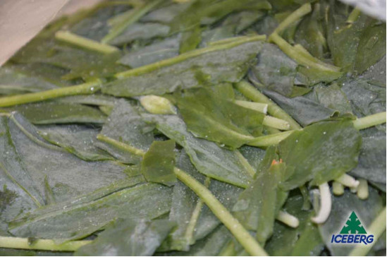 AGLIO ORSINO E.                    4X500GR CG