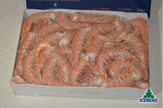 CODE GAMBERO ARGENTINA SC 1 T.     6X2KG   CG