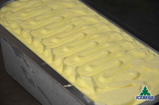 GELATO VANIGLIA 1X1PZ CG