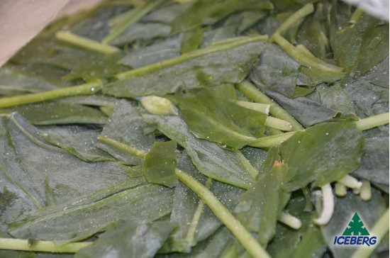 AGLIO ORSINO E. 4X500GR CG