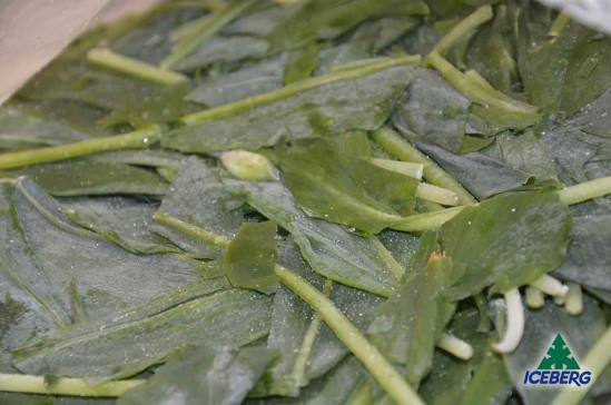 AGLIO ORSINO E. 4X500GR CG