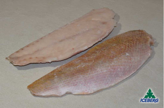FILETTO LUTIANO 500/800 1X4,5KG CG