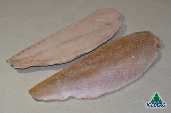 FILETTO LUTIANO 500/800 1X4,5KG CG