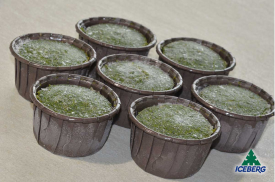 FLAN SPINACI/PROVOLA 40X90GR SG