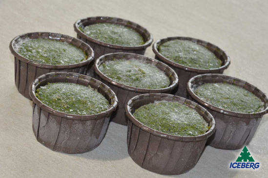 FLAN SPINACI/PROVOLA 40X90GR SG
