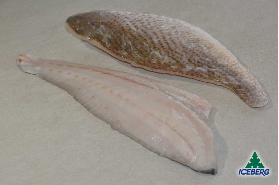 FILETTO OMBRINA ATLANTICA 80/120 1X6KG CG