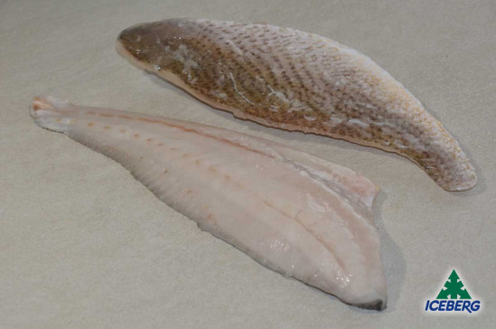 FILETTO OMBRINA ATLANTICA 80/120 1X6KG CG