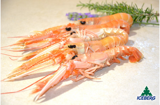 SCAMPI IRLANDA 21/30 C.B. S. 6X2KG CG