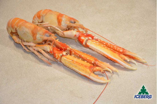 SCAMPI SASHIMI 1/5 IQF 1X3KG CG
