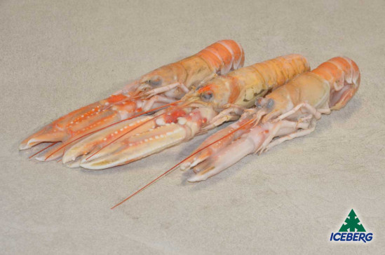 SCAMPI SASHIMI 5/10 IQF 1X3KG CG