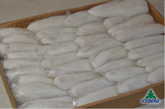 CALAMARO MAROCCO 2P PULITO IWP     1X6KG   CG