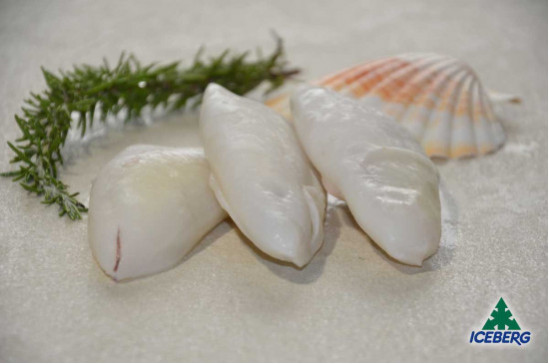 CALAMARO MAROCCO 3P PULITO IWP     1X6KG   CG