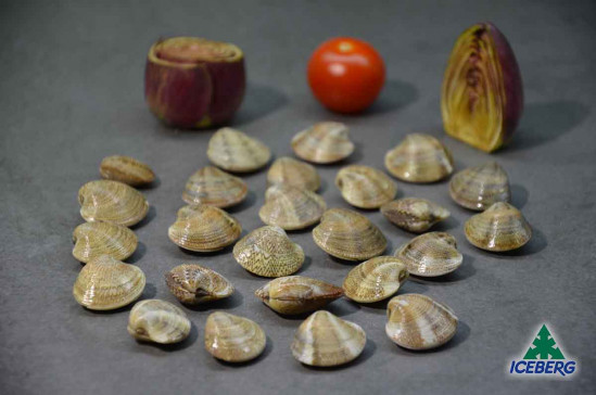 VONGOLE C/G IQF 5X1KG CG