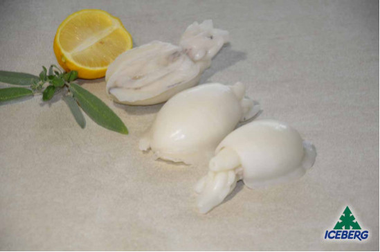 SEPPIE INDOPACIFICHE 8/12 IQF      10X800GRCG