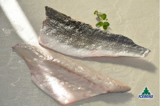 FILETTO BRANZINO 120/160 CROAZIA 1X10KG CG