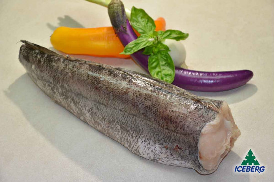 NASELLO ATLANTICO 800/1200 P.V.    1X6KG   CG