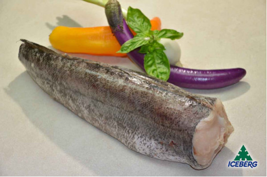 NASELLO ATLANTICO 800/1200 P.V.    1X6KG   CG