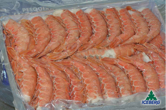 CODE GAMBERO ARGENTINA SC 1 B.CARD.6X2KG CG