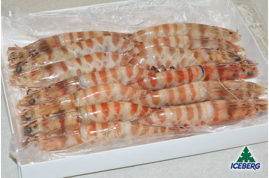 MAZZANCOLLE TUNISIA 00 (10/15)     10X800GRCG