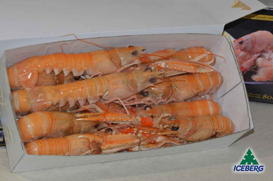 SCAMPI DANIMARCA LAESO 8/12 6X800GR CG