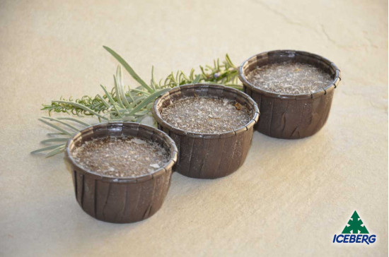 FLAN RADICCHIO                     40X90GR SG