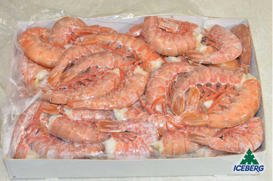 CODE GAMBERO ARGENTINA SC 1 B.CARD.6X2KG CG