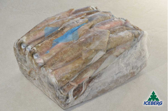 CALAMARO PATAGONICO C4 LL M. PV    1X5KG   CG