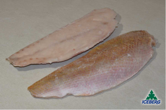 FILETTO LUTIANO 500/800            1X4,5KG CG