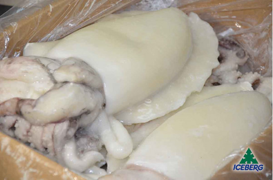 SEPPIE PULITE 2000/3000 P.P. S.    1X12KG  CG