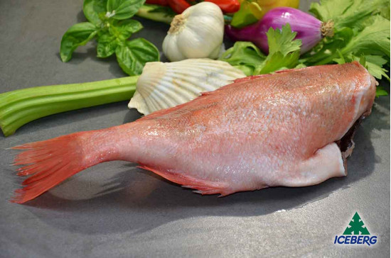 SCORFANO ATLANTICO DEC.200/500 IQF 1X7KG   CG