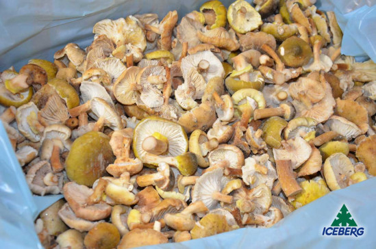 FUNGHI CHIODINI B. SCOTTATI 1X3KG SG