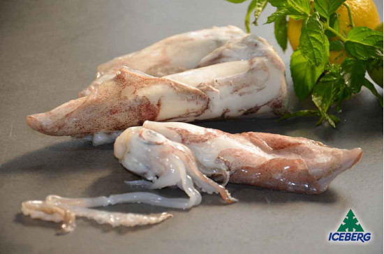 CALAMARO MAROCCO 3P T. IWP         1X6KG   CG