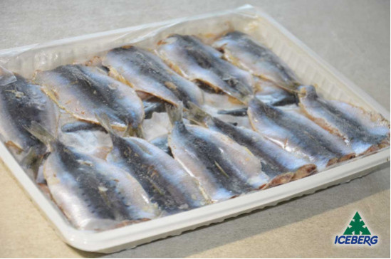 FILETTO SARDINA BUTT.INTERFOGLIATI 3X1KG   CG